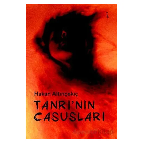 Tanrı’nın Casusları - HAKAN ALTINÇEKİÇ - İkinci Adam Yayınları