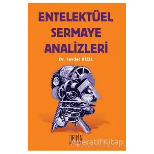 Entelektüel Sermaye Analizleri - Cevdet Kızıl - Derin Yayınları