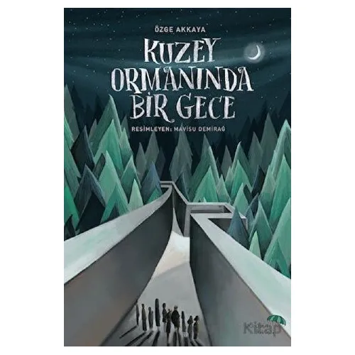 Kuzey Ormanında Bir Gece - Özge Akkaya - Paraşüt Kitap