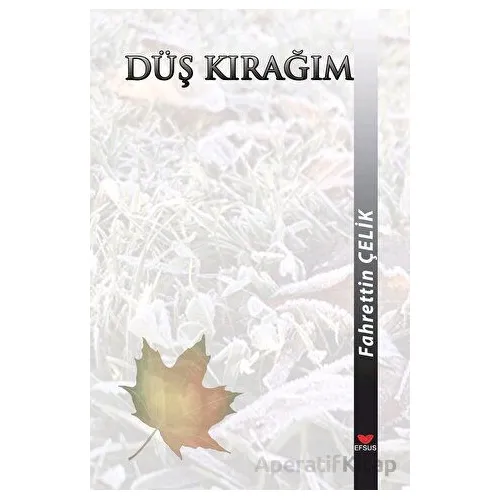 Düş Kırağım - Fahrettin Çelik - Efsus Yayınları