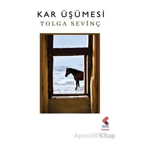 Kar Üşümesi - Tolga Sevinç - Klaros Yayınları