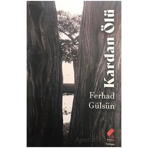 Kardan Ölü - Ferhad Gülsün - Klaros Yayınları
