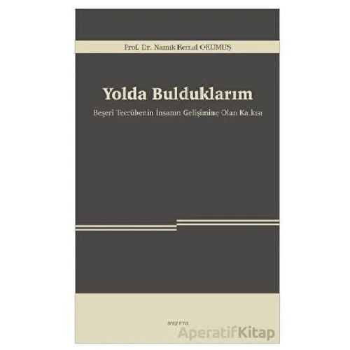 Yolda Bulduklarım - Namık Kemal Okumuş - Araştırma Yayınları