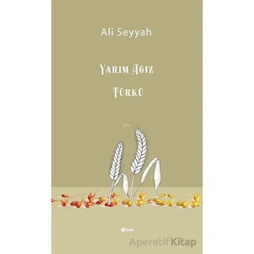 Yarım Ağız Türkü - Ali Seyyah - Şule Yayınları