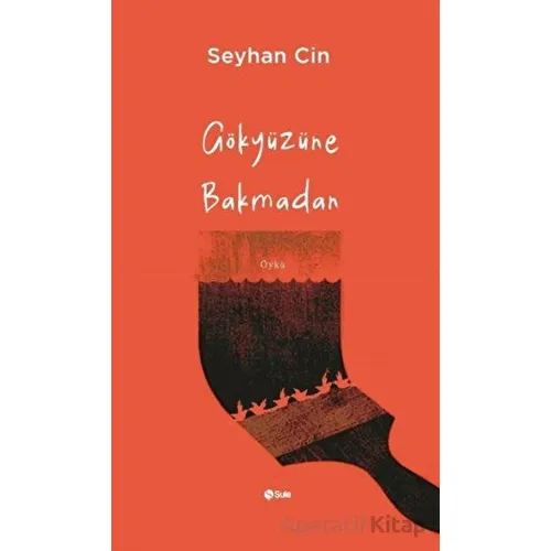 Gökyüzüne Bakmadan - Seyhan Cin - Şule Yayınları