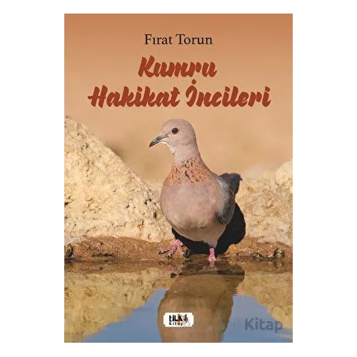 Kumru Hakikat İncileri - Fırat Torun - Tilki Kitap