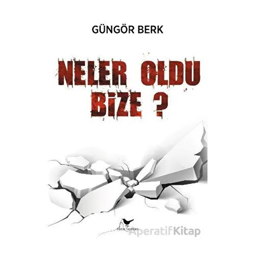 Neler Oldu Bize - Güngör Berk - Günce Yayınları