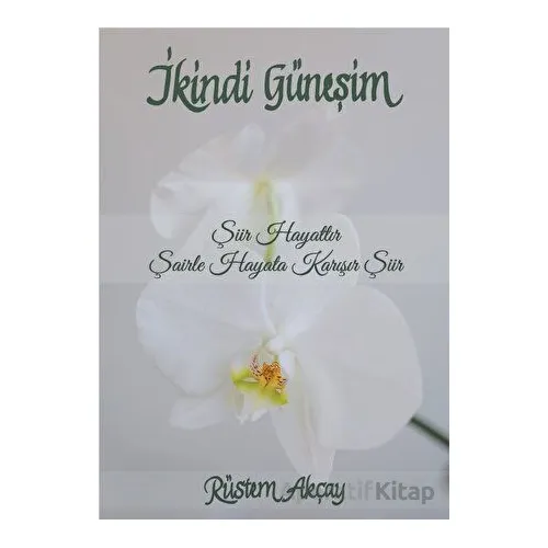 İkindi Güneşim - Rüstem Akçay - Liman Yayınevi