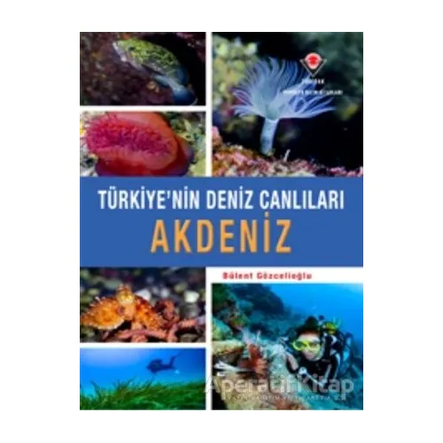 Akdeniz - Türkiyenin Deniz Canlıları - Bülent Gözcelioğlu - TÜBİTAK Yayınları