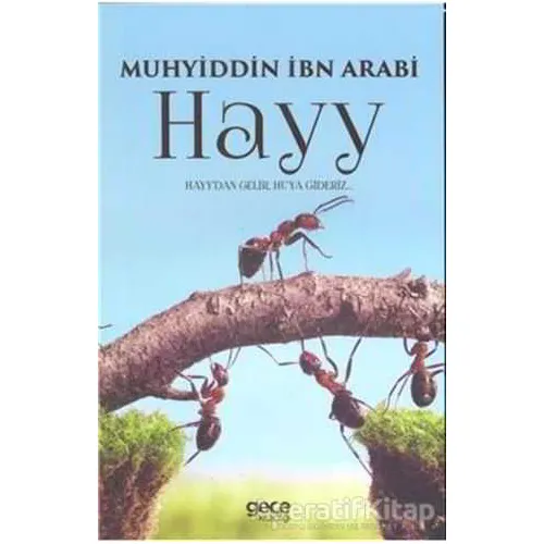 Hayy - Muhyiddin İbn Arabi - Gece Kitaplığı