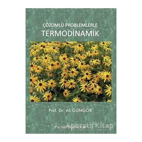 Çözümlü Problemlerle Termodinamik - Ali Güngör - Palme Yayıncılık