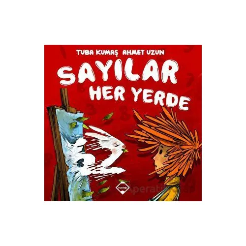 Sayılar Her Yerde - Tuba Kumaş - Buzdağı Yayınevi