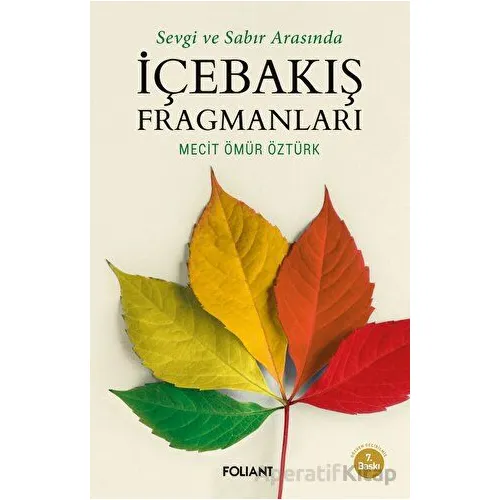 İçebakış Fragmanları - Mecit Ömür Öztürk - Foliant Yayınları