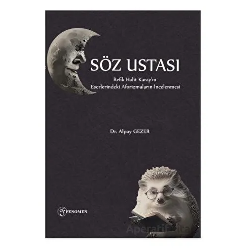 Söz Ustası - Alpay Gezer - Fenomen Yayıncılık