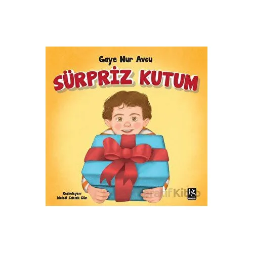 Sürpriz Kutum - Gaye Nur Avcu - DS Yayınları