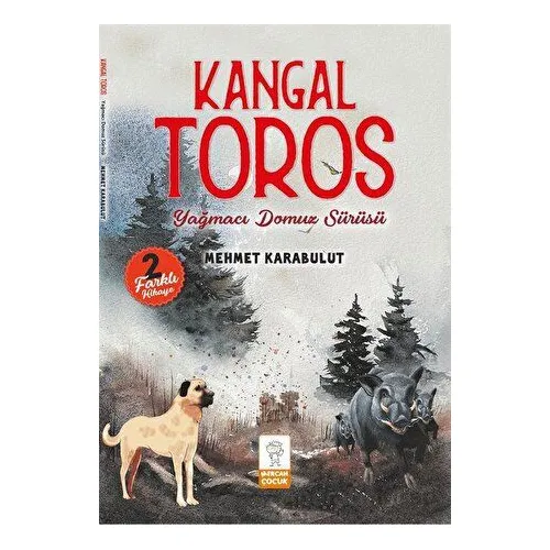 Kangal Toros - Yağmacı Domuz Sürüsü - Mehmet Karabulut - Mercan Çocuk Yayınları