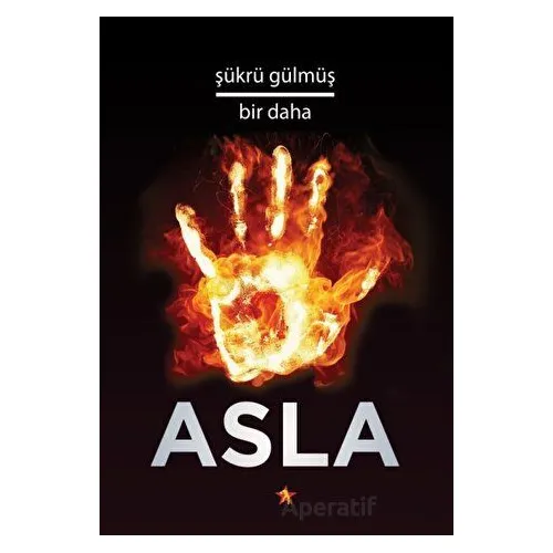 Bir Daha Asla - Şükrü Gülmüş - Peri Yayınları