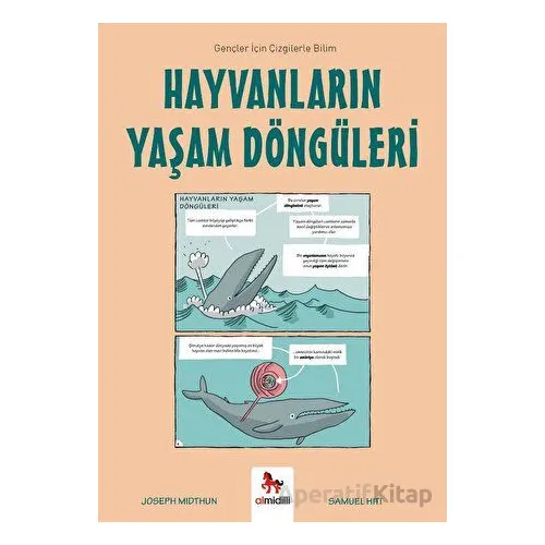 Hayvanların Yaşam Döngüleri - Joseph Midthun - Almidilli
