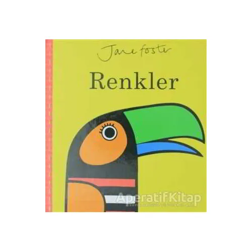 Renkler - Jane Foster - Redhouse Kidz Yayınları