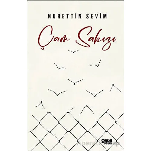 Çam Sakızı - Nurettin Sevim - Gece Kitaplığı