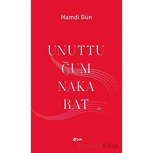 Unuttuğum Nakarat - Hamdi Gün - Şule Yayınları