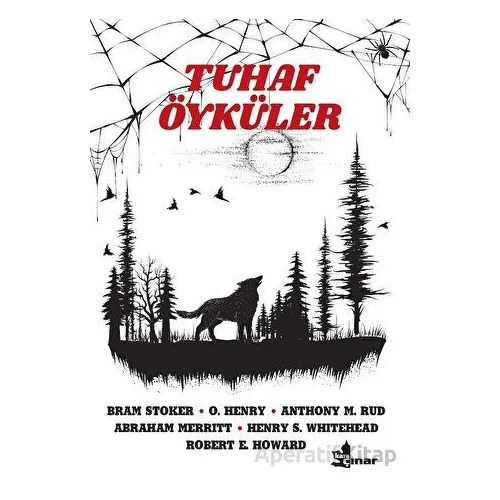 Tuhaf Öyküler - Kolektif - Çınar Yayınları