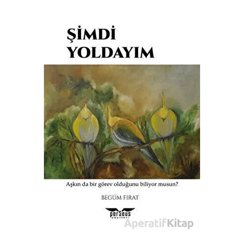 Şimdi Yoldayım - Begüm Fırat - Perseus