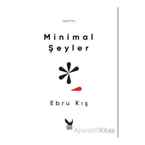 Minimal Şeyler - Ebru Kış - İkaros Yayınları
