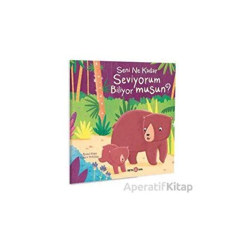 Seni Ne Kadar Seviyorum Biliyor musun? - Isabel Pope - Beta Kids