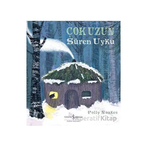 Çok Uzun Süren Uyku - Polly Noakes - İş Bankası Kültür Yayınları