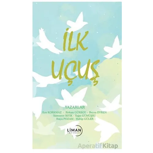 İlk Uçuş - Birkan Gürsoy - Liman Yayınevi