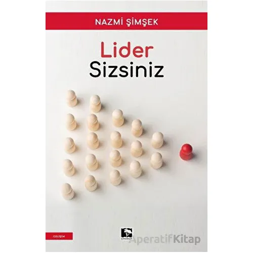 Lider Sizsiniz - Nazmi Şimşek - Çınaraltı Yayınları