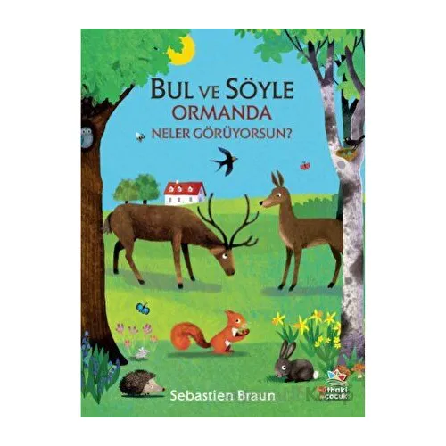 Bul ve Söyle - Ormanda Neler Görüyorsun? - Sebastien Braun - İthaki Çocuk Yayınları