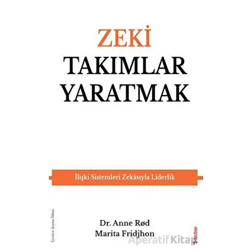 Zeki Takımlar Yaratmak - Marita Fridjhon - Sola Unitas