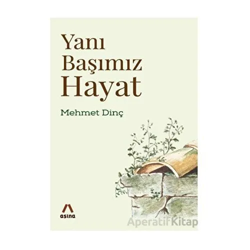 Yanı Başımız Hayat - Mehmet Dinç - Aşina Yayınları