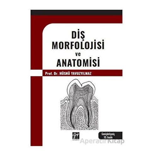 Diş Morfolojisi ve Anatomisi - Hüsnü Yavuzyılmaz - Gazi Kitabevi