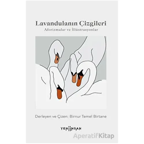 Lavandulanın Çizgileri - Birnur Temel Birtane - Yeni İnsan Yayınevi