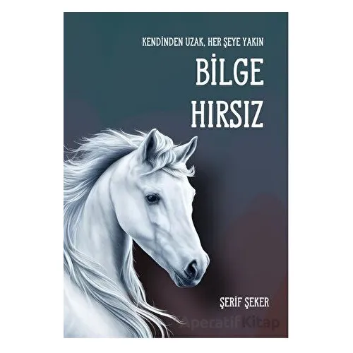 Bilge Hırsız - Şerif Şeker - Luna Yayınları