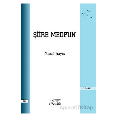 Şiire Medfun - Murat Kayış - Kuytu Yayınları