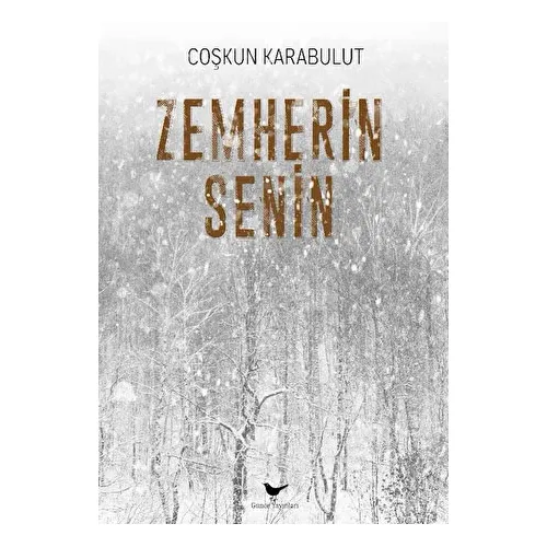 Zemherin Senin - Coşkun Karabulut - Günce Yayınları