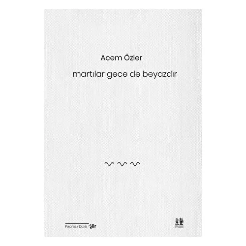 Martılar Gece de Beyazdır - Acem Özler - Pikaresk Yayınevi