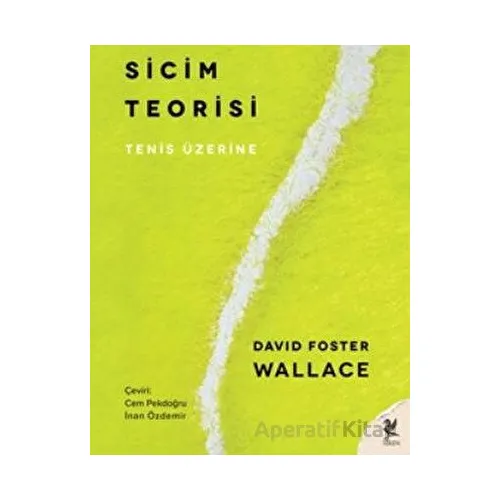 Sicim Teorisi - David Foster Wallace - Siren Yayınları