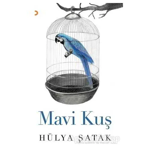 Mavi Kuş - Hülya Şatak - Cinius Yayınları