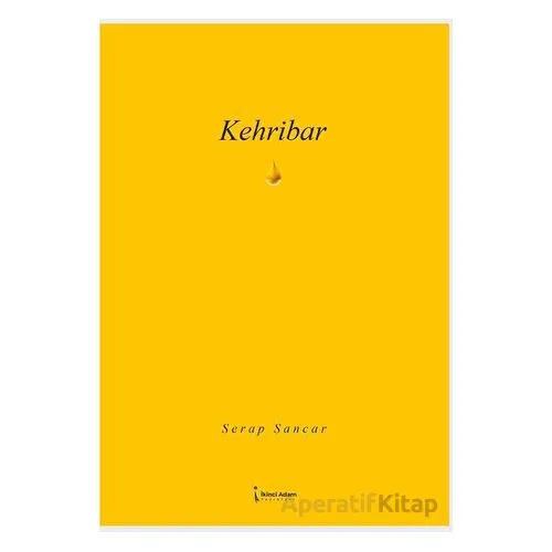 Kehribar - Serap Sancar - İkinci Adam Yayınları