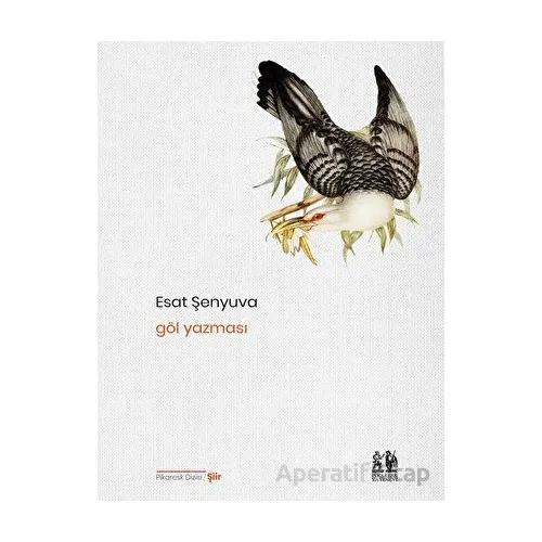 Göl Yazması - Esat Şenyuva - Pikaresk Yayınevi
