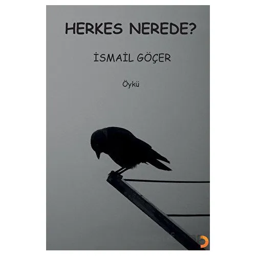 Herkes Nerede? - İsmail Göçer - Cinius Yayınları