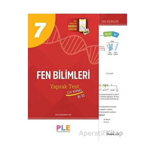 7.Sınıf Fen Bilimleri Çek Kopart Yaprak Test Birey PLE