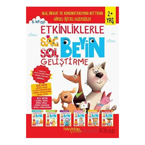 Etkinliklerle Sağ Beyin Sol Beyin Geliştirme (2+ Yaş) 6lı Set - Canan Öztürk - Hayykitap