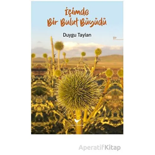 İçimde Bir Bulut Büyüdü - Duygu Taylan - Günce Yayınları
