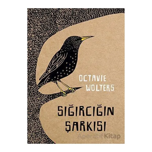 Sığırcığın Şarkısı - Octavie Wolters - MEAV Yayıncılık